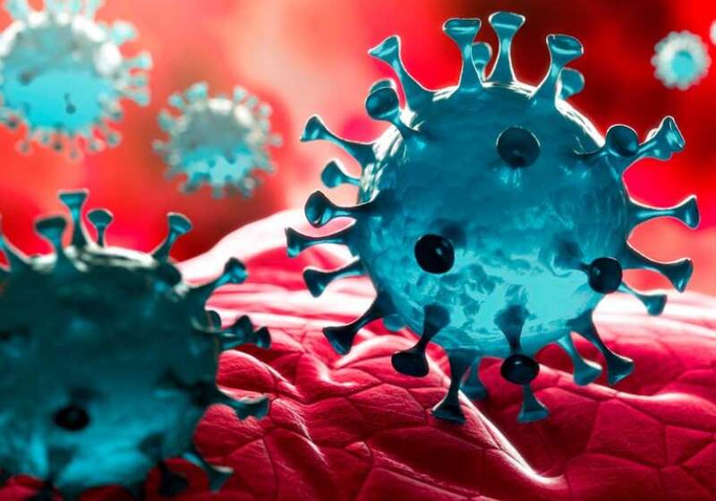 El municipio informó que la mayoría de los casos de coronavirus se encuentran en el mediterráneo por lo que se refuerzan las medidas de seguridad en Vidal y Pirán.