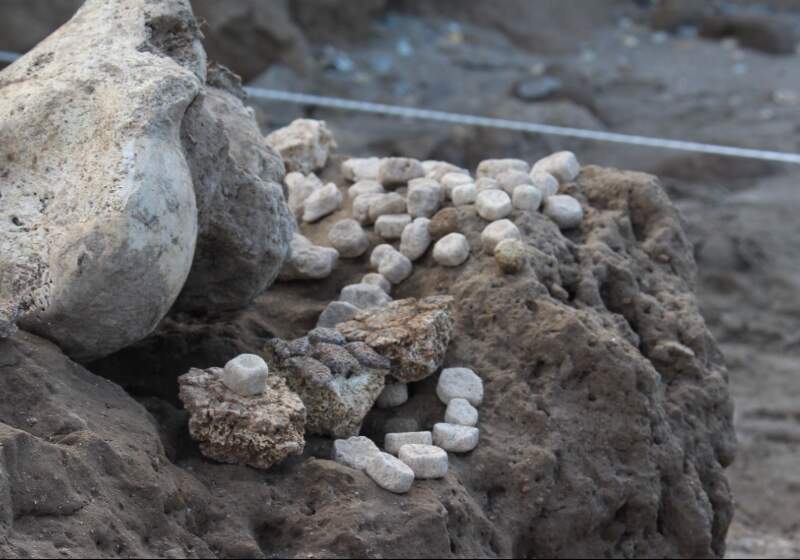 Los restos se encontraban en el acantilado. Según las apreciaciones preliminares, se trataría de un Gliptodonte juvenil, extinguido hace más de 20.000 años.

