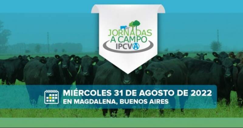 El Instituto de Promoción de la Carne Vacuna Argentina realizará un nuevo encuentro presencial con entrada gratuita pero cupos limitados