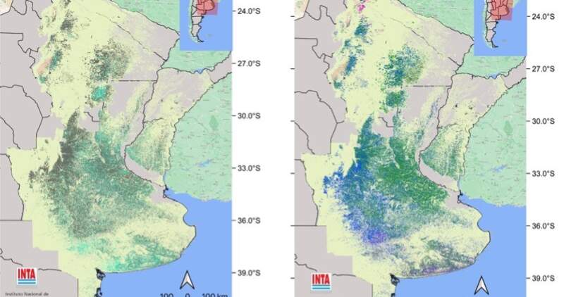 Argentina es uno de los cinco países que cuentan con sistemas satelitales de seguimiento de cultivos extensivos para granos