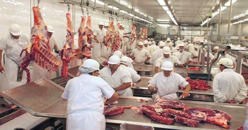 Senasa certificó la carne bovina que va a consumir la Selección Argentina