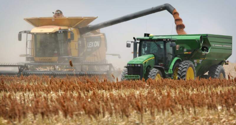 Para el maíz se mantiene la proyección de producción en 34 millones de toneladas