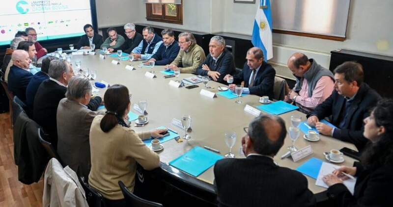 Fue elaborado en base a las recomendaciones de distintos actores de la cadena, del ámbito privado, público y académico, para conseguir una visión integral sobre el sector