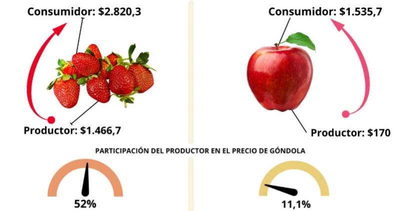 La mayor participación la tuvieron los productores de frutilla (52%) mientras que la menor fue para los de manzana roja (11%)