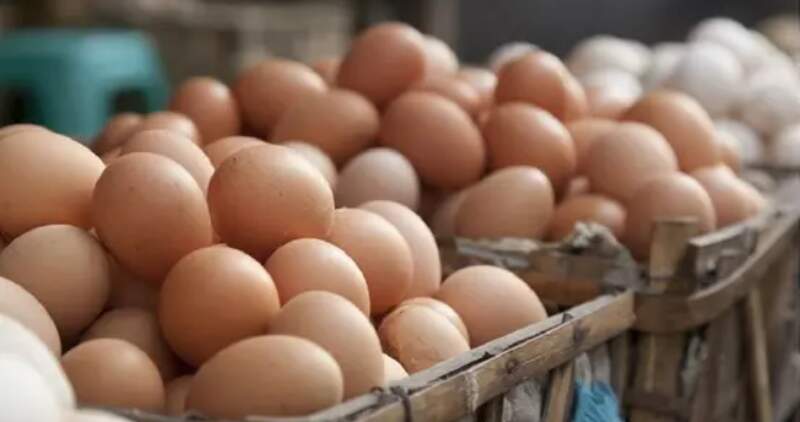 Prida: "La industria del huevo apostó a la producción y puede presentar indicadores positivos en esos rubros que muestra su compromiso con el país y los consumidores"