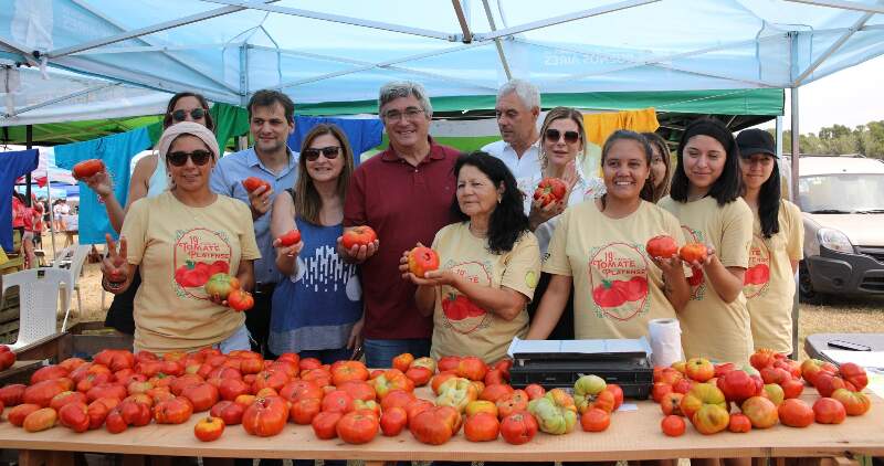 19° Fiesta del Tomate Platense