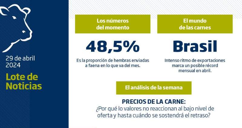 Informe Rosgan