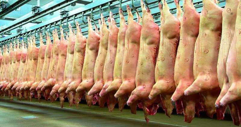 La Federación Porcina Argentina y la Sociedad Uruguaya Criadores de Cerdos, firmarán un acuerdo de cooperación mutua