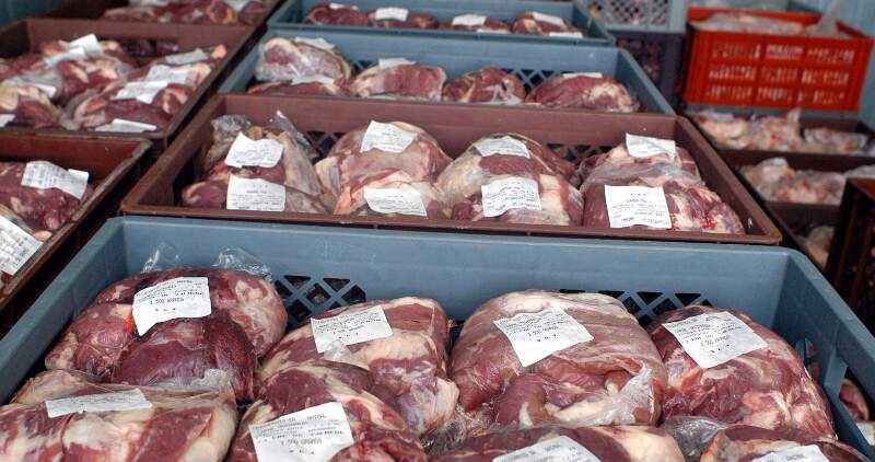 Una delegación japonesa visitó el frigorífico Gorina