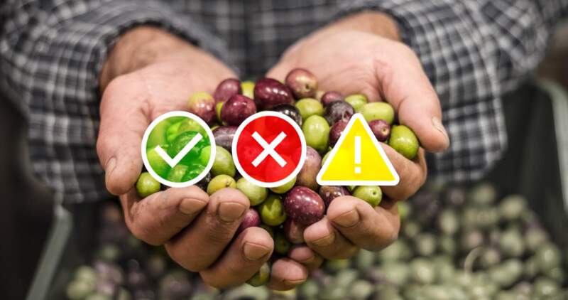 12 rubros están en rojo, con serios desafíos sobre demanda, costos y precios