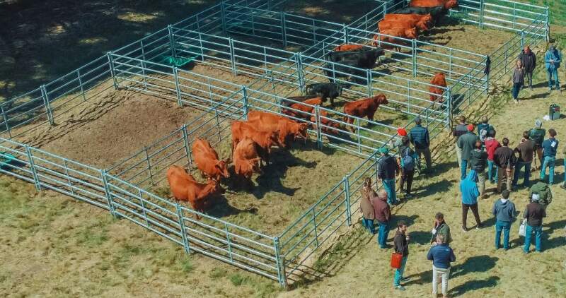 El INTA brinda apoyo para la formación técnica agropecuaria en 433 escuelas secundarias