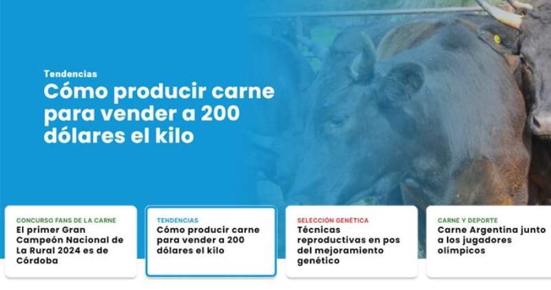 Los contenidos están orientados a contribuir a hacer más eficiente el negocio