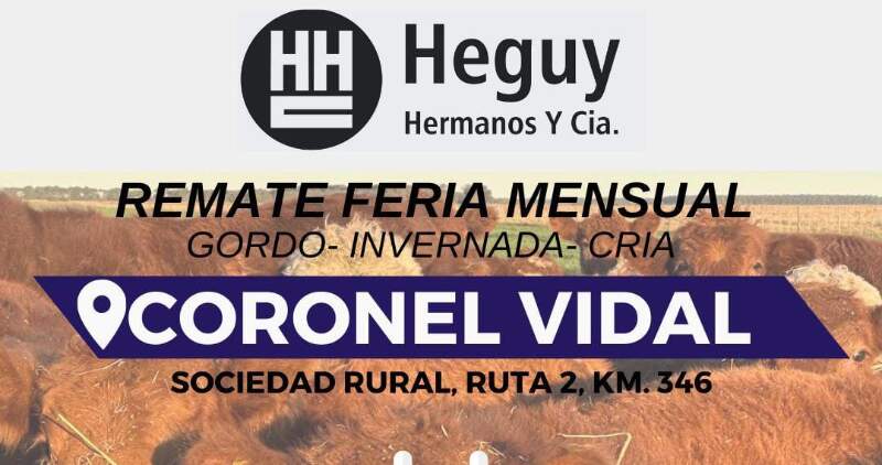 Viernes 27 de agosto, Autovía 2 km346 Coronel Vidal