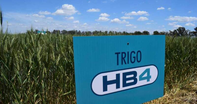 La principal economía del mundo produce unas 45 millones de toneladas anuales