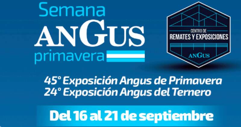 La juras, remates, estrenos y vínculos comerciales estarán acompañados de nuevos contenidos