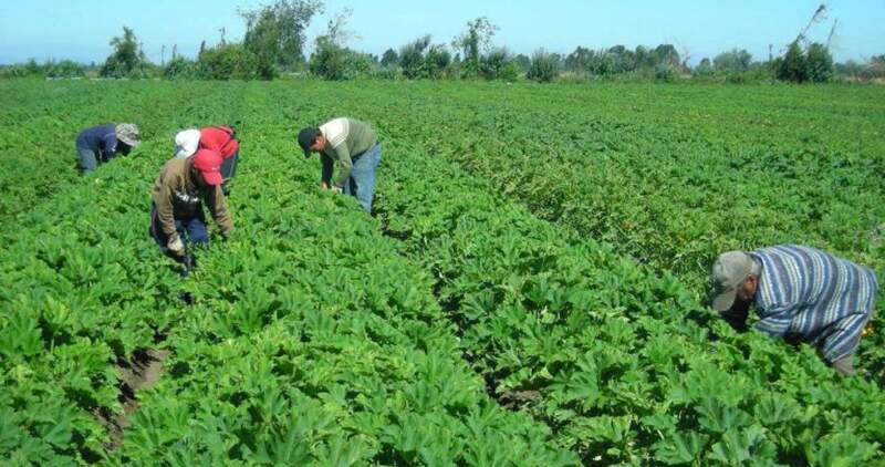 El beneficio estará destinado a residentes de las provincia de Buenos Aires