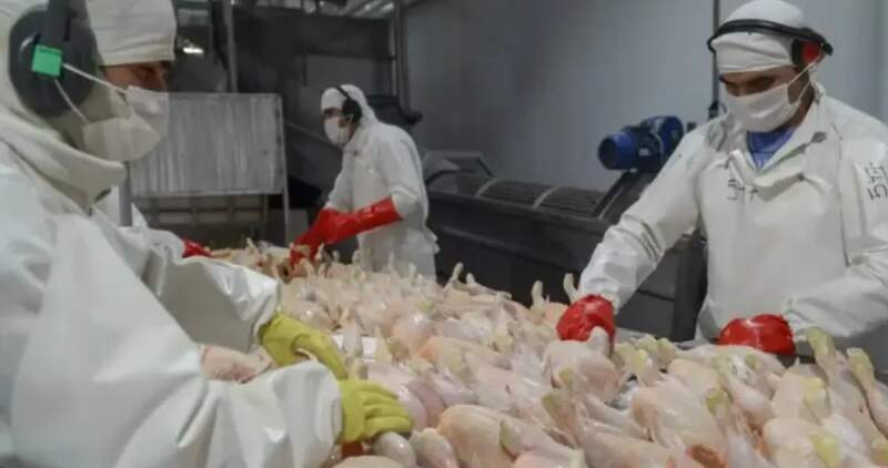 También mejoran las exportaciones de carne bovina