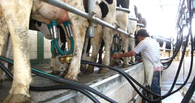 Las proyecciones del Observatorio de la Cadena Láctea Argentina generan preocupación entre los productores