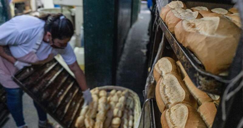 La Federación Argentina de la Industria Molinera dio a conocer un informe en el que sustenta que la informalidad en la cadena productiva