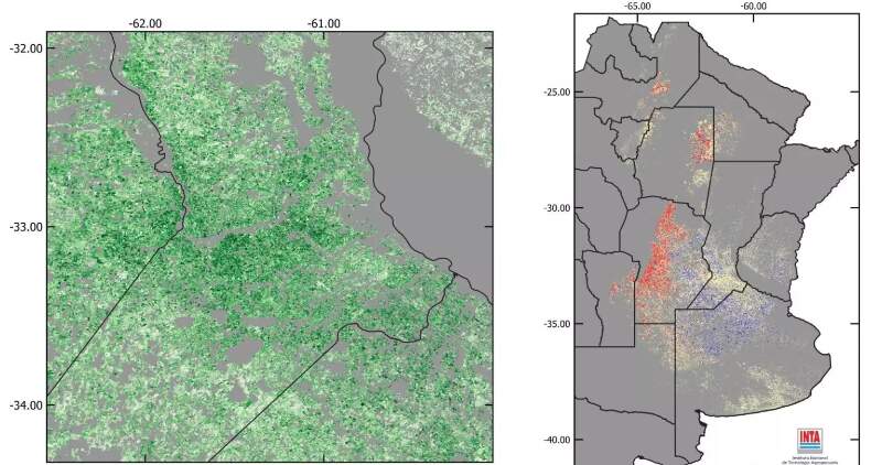 Un estudio elaborado por el Instituto de Clima y Agua del INTA analiza las secuencias productivas del Mapa Nacional de Cultivos (2018/2019 ‐ 2023/2024)