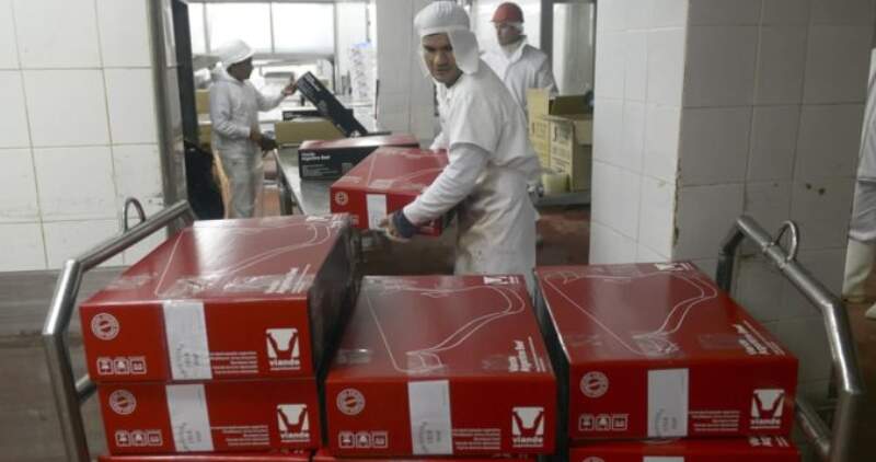 El servicio sanitario albanés notificó al Senasa de la aceptación del certificado veterinario internacional