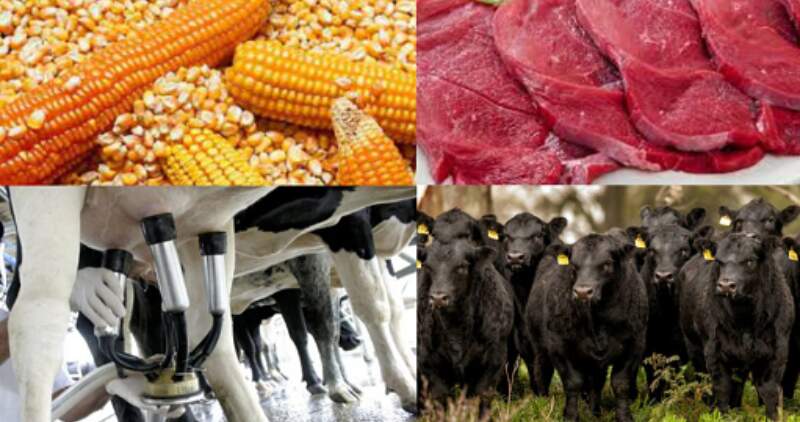 Se busca reducir la burocracia estatal y simplificar los trámites para el sector agroindustrial