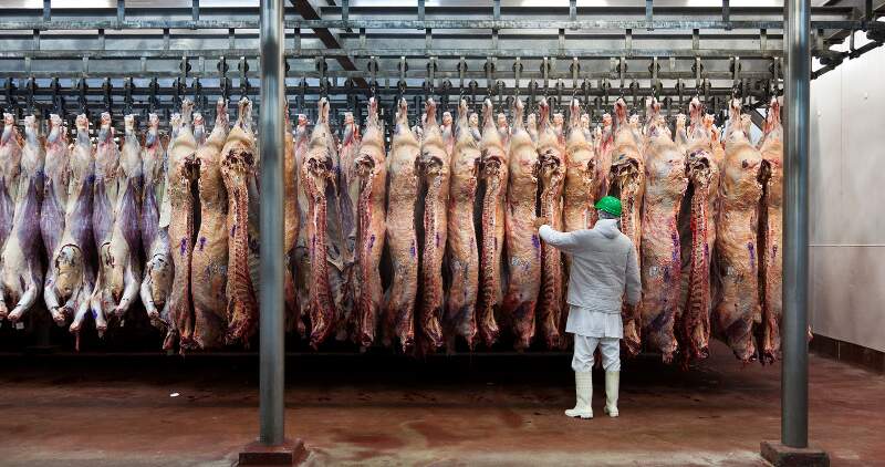 Para que Argentina retome niveles de exportación más altos se necesitarían precios mayores y una mejora en la competitividad
