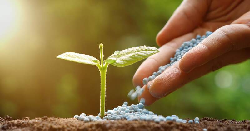 El proyecto promueve un modelo sostenible de producción agropecuaria en el que se transforman los residuos en insumos valiosos para la agricultura