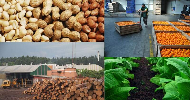 Informe CONINAGRO