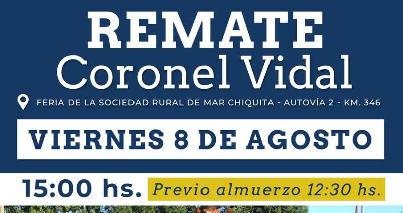 Gordo, invernada y cría