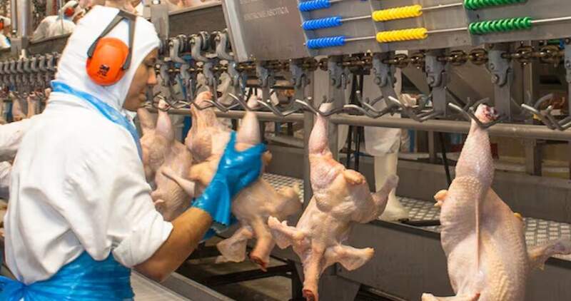 Levantamiento de restricciones sanitarias