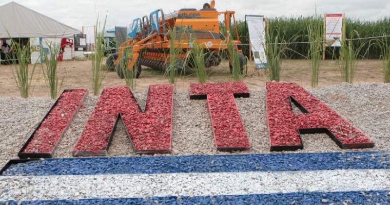 DNU 627/628 del 2025