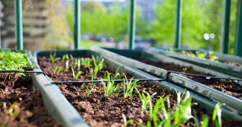 Hasta el 31 de octubre