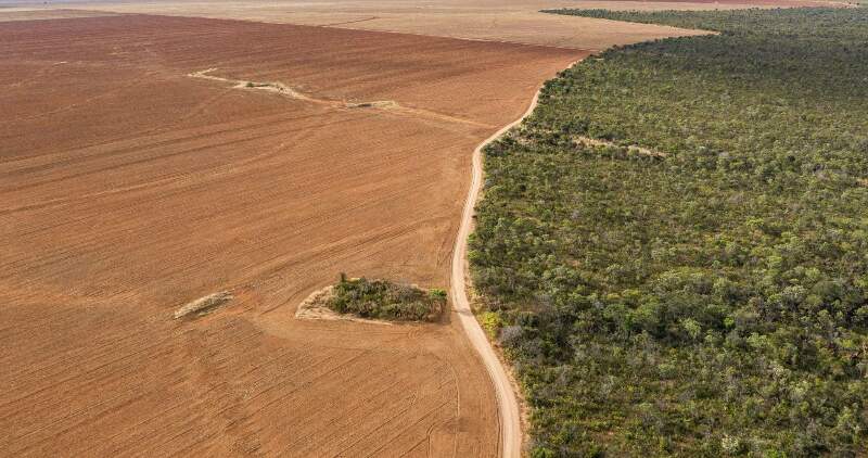 Investigación de la FAUBA