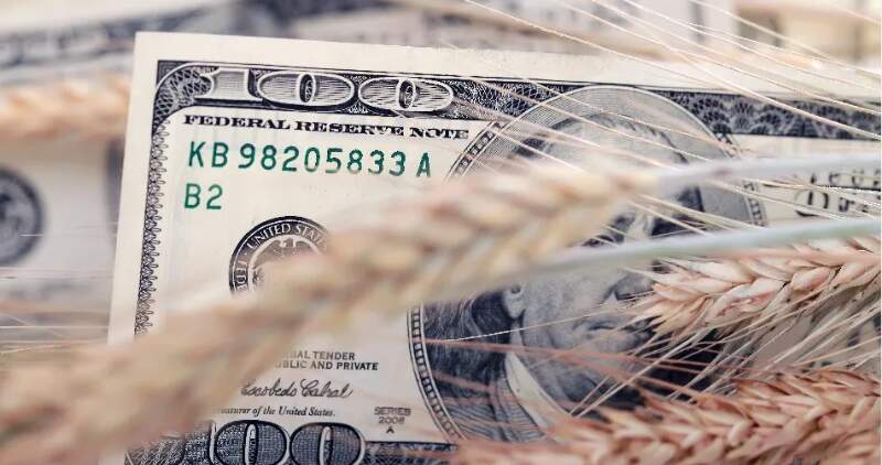 Se espera una baja hacia fin de año