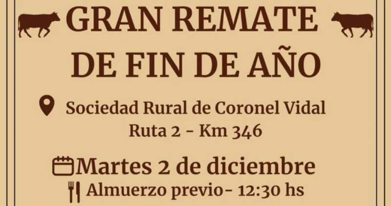 Gordo, invernada y cría