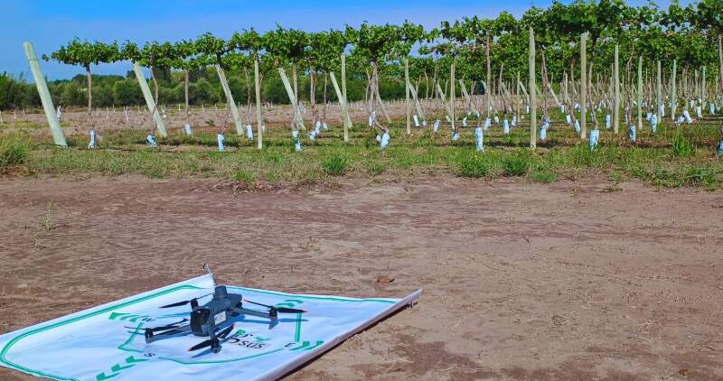 Transformación digital en el agro