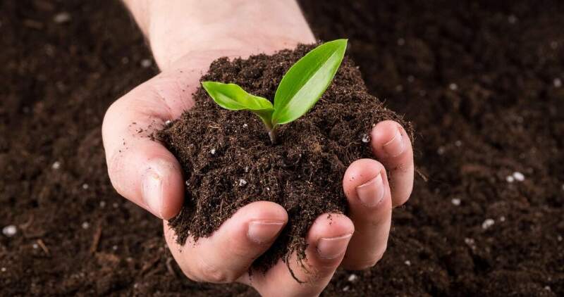 Día Mundial del Suelo 2025