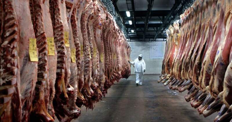 El 80% de los cupos queda en manos de los principales frigoríficos