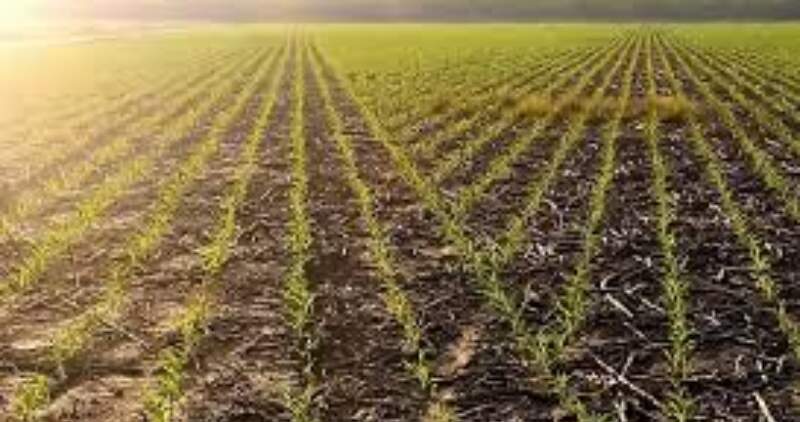 Iniciativa público-privada