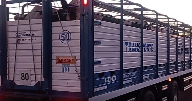 Movimiento de hacienda