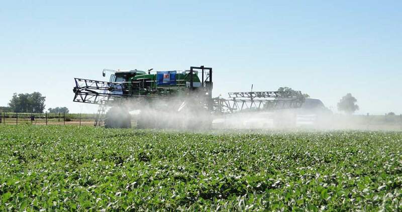 Fallo de la Suprema Corte de Buenos Aires
