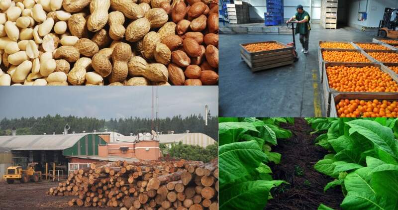 Semáforo de Coninagro