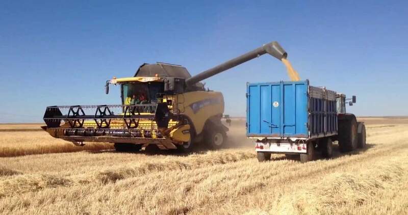 La provincia concentra más del 90% de la producción 