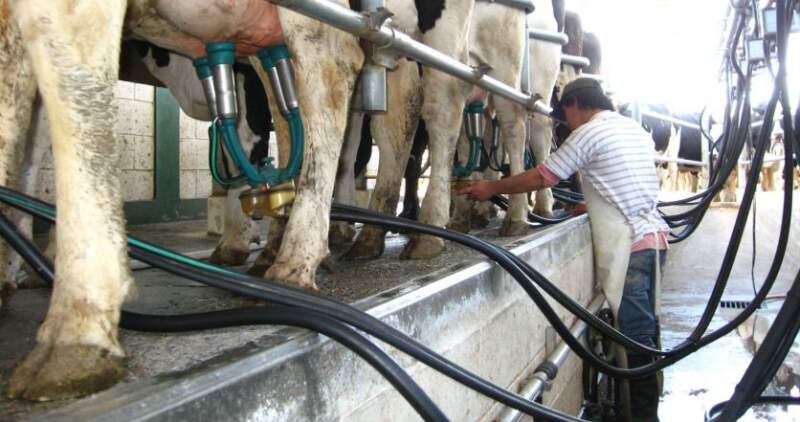 Informe de la Cámara de Productores de Leche de la Cuenca Oeste