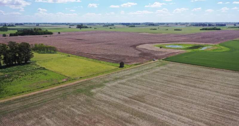 Indicador temporal clave para la vegetación