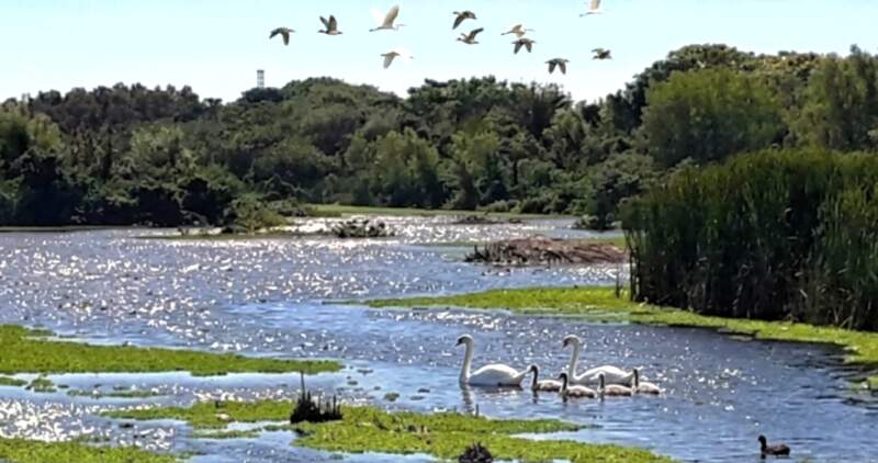 Las exportaciones argentinas están paralizadas
