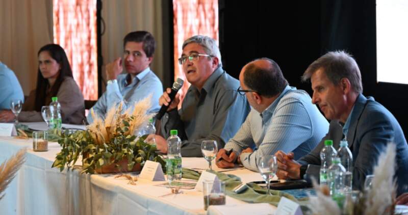 57 Fiesta provincial del trigo