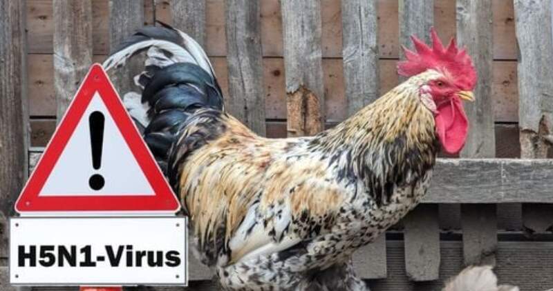 Alerta sanitaria regional