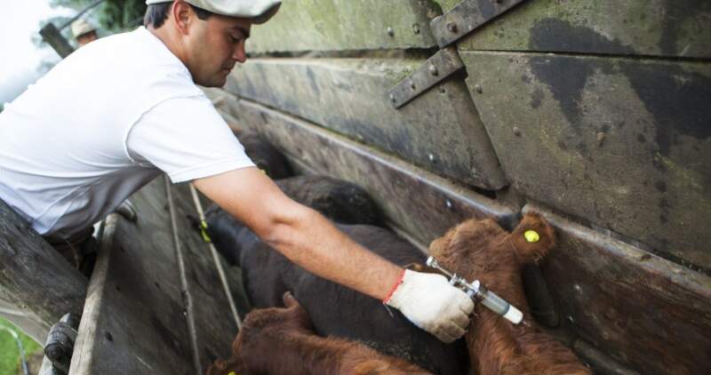 Resolución 201 del SENASA